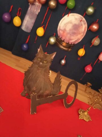 153d153b-f234-4427-aac6-1b8ba2703b01