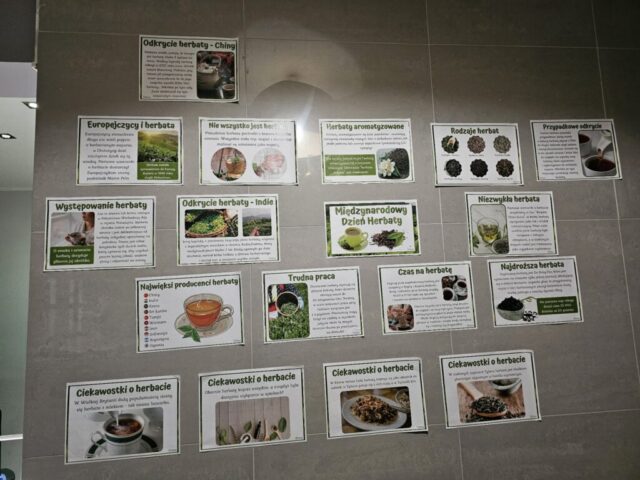 17b66b42-77d8-4227-a04e-78e1828c98b0